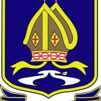 Blue Coat Academy logo - Similar company to Bluecoat Sixth Form