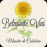 BELMONTE VINI S.R.L. logo - Similar company to Eco Lithium Bv 🔋