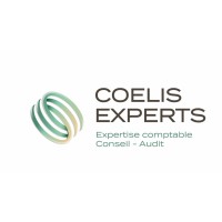 Coelis Experts logo - Similar company to Webwedosolutions | Stratégie Digitale & Aquisitions B2B