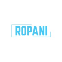 Ropani Group of Companies logo - Similar company to Di International Group Of Companies