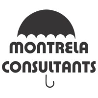 Montrela Consultants logo - Similar company to Montrela Inc