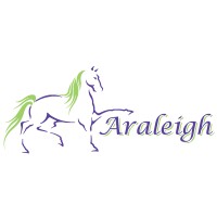 Araleigh Business Growth Accelerators logo - Similar company to Ugl Ltd