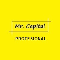 Mr. Capital® - Profesional logo - Similar company to Plantspace
