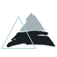 Direct Insurance Financial Investments  (DIFI) logo - Similar company to Ângulo Capital