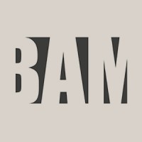 BAM - BISMAN & MASSEY ARCHITECTURE logo - Similar company to Windowware Pro