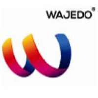 Wajedo International Corporation (Pvt) Ltd logo - Similar company to Instant3D