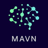 Mavn Institute logo - Similar company to Summr