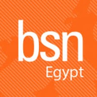 Business School Netherlands International MBA - Egypt logo - Similar company to Nerdy English Academy