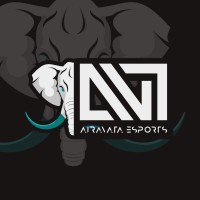 Airavata Esports logo - Similar company to Boudicea