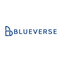 BLUEVERSE logo - Similar company to Activdate App