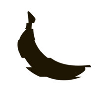 Digital Fruits LLC logo - Similar company to Cns Nutrifoods