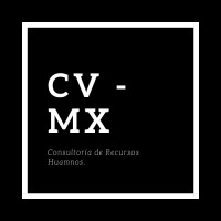 CV - MX logo - Similar company to Liquidtek, S.A. De C.V.