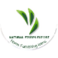 Natural Fibres Export logo - Similar company to Suratis