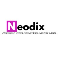 NEODIX logo - Similar company to Ducktape