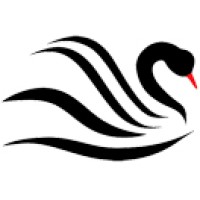 Chenope logo - Similar company to Cataphora