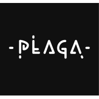 PLAGA logo - Similar company to Labrat Animation