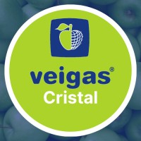Veigas Cristal logo - Similar company to Nr Industria