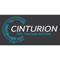 Cinturion logo - Similar company to Damac Group