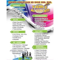 AGENSI PEKERJAAN NS SHUE SDN BHD logo - Similar company to Agensi Pekerjaan Borneo Skills Sdn Bhd