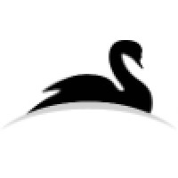 Black Swan Financial Planning (now Shackleton) logo - Similar company to Ellis Bates, Now Part Of Shackleton