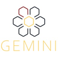 Gemini Healthcare Analytics logo - Similar company to Abundant Nursing Solutions 