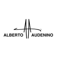 Alberto Audenino logo - Similar company to Thecommense