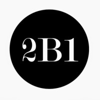 2B1 International Consulting logo - Similar company to Koma