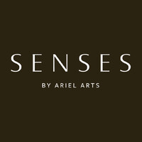 Senses logo - Similar company to Ariel Arts