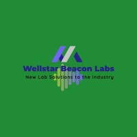 Wellstar Beacon Labs logo - Similar company to Wellstar International Trading Limited