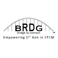 BRDG - bridge to connect logo - Similar company to Sentinull