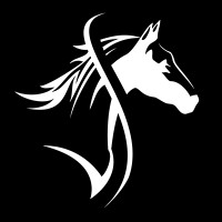 Steinser logo - Similar company to Brandsphere Media