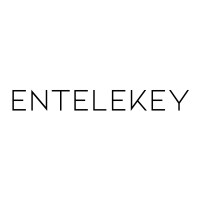 Entelekey Media logo - Similar company to Viking Sunset Studios