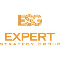 Expert Strategy Group logo - Similar company to Expert Sourcing Solutions