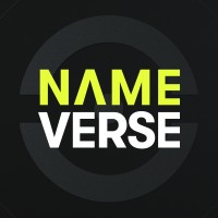 Nameverse logo - Similar company to Naverse