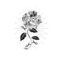 IL FIORE D'ORO LUXURY logo - Similar company to Centro Odontoiatrico Cacciola