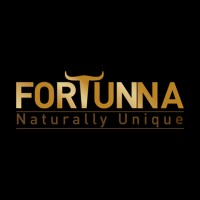 Fortunna logo - Similar company to Oviger S.A.