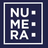 Numera logo - Similar company to Numara