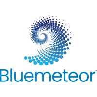 Bluemeteor logo - Similar company to Localify Tech