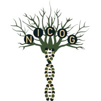 Nature Inspired Computing Optimization Group (NICOG) logo - Similar company to Optimization Group