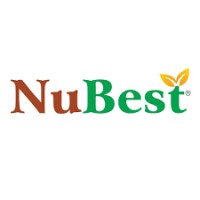 Công ty TNHH NuBest (NuBest Vietnam) logo - Similar company to Nubest Nutrition