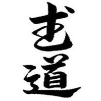 Rising Sun Martial Arts logo - Similar company to Crazy 88 Mixed Martial Arts