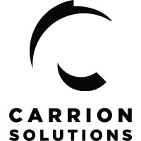 LSG Consulting Services logo - Similar company to Carrion Solutions