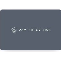 PAM IT Solutions logo - Similar company to Collaborate It Limited