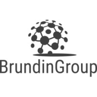 BrundinGroup logo - Similar company to Chen Consulting