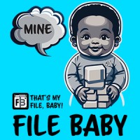 File Baby logo - Similar company to Nyx Nocode