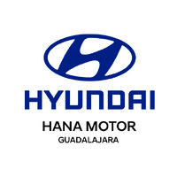 Hyundai Hana Motor Guadalajara logo - Similar company to Controles De Guadalajara