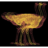 Oracle Senior Honor Society logo - Similar company to Jbmp Social Impact Partners