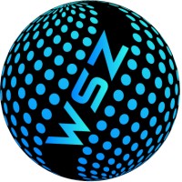 WorldSoftZone logo - Similar company to Timex Solution Inc