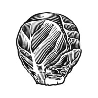 Choux de Bruxelles logo - Similar company to Themerode