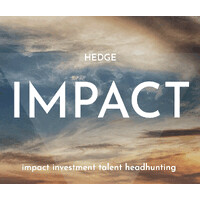 Hedge Impact headhunting logo - Similar company to Believable Bots